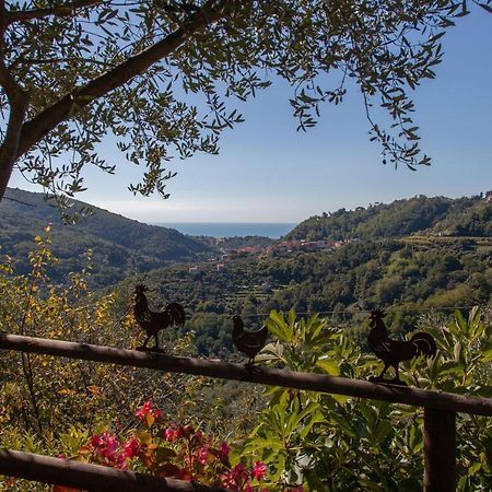 Pietrantica - Affittacamere Con Giardino Nuova Apertura A Trebiano -Citr Экстерьер фото