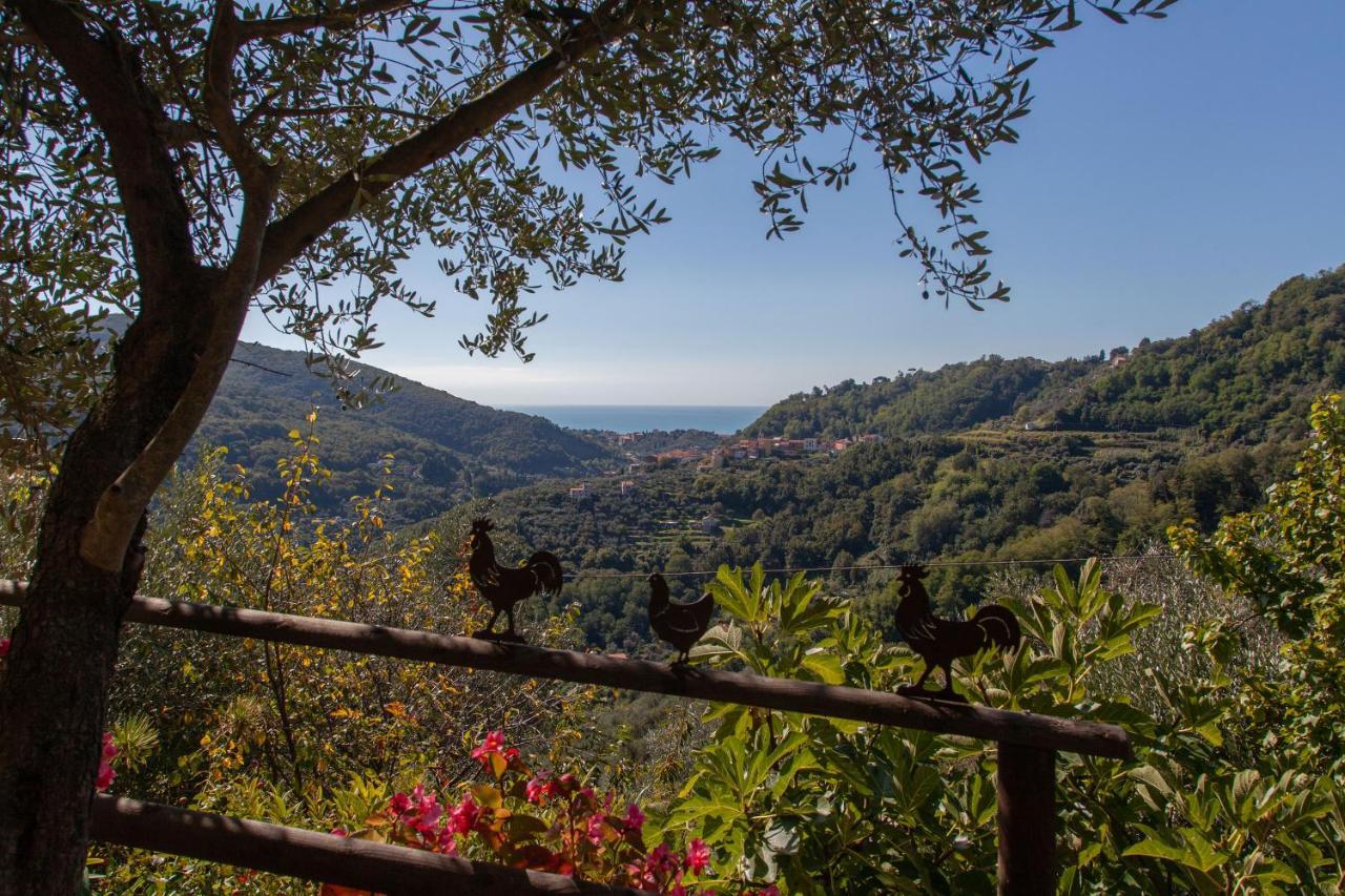 Pietrantica - Affittacamere Con Giardino Nuova Apertura A Trebiano -Citr Экстерьер фото