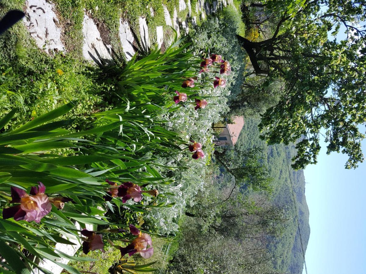 Pietrantica - Affittacamere Con Giardino Nuova Apertura A Trebiano -Citr Экстерьер фото