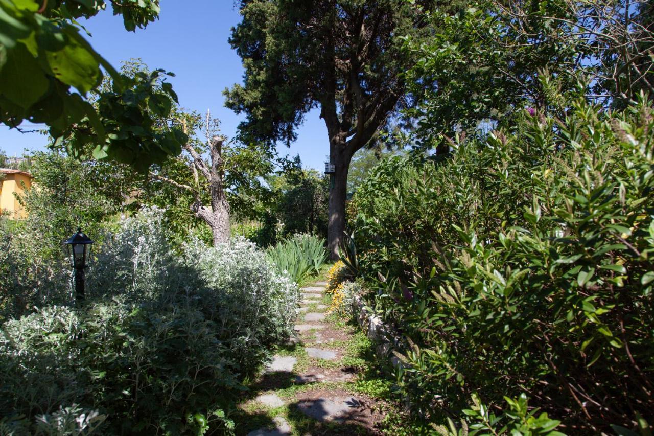 Pietrantica - Affittacamere Con Giardino Nuova Apertura A Trebiano -Citr Экстерьер фото